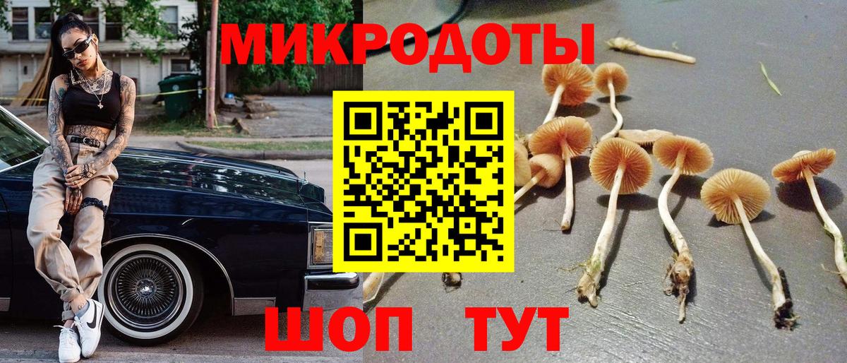 Псилоцибиновые грибы Magic Shrooms Мирный