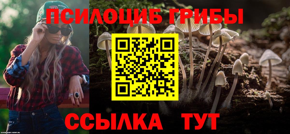 Мирный  Псилоцибиновые грибы ЛСД  купить   Вход с VPN 